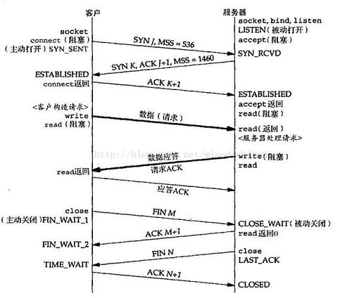 -t 表示显示TCP连接