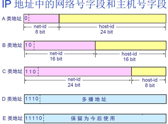 -n 表示直接以IP地址和端口号的形式显示，不解析域名和服务名