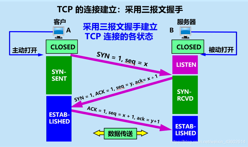 -t 表示显示TCP连接；