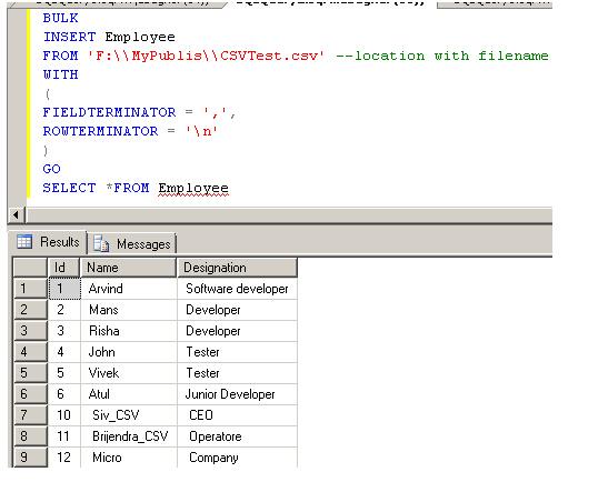 BULK INSERT是SQL Server提供的一个专门用于高效批量导入数据的命令，它可以直接从文件中读取数据并插入到数据库表中。