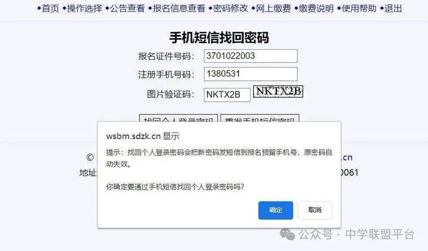 手机号码：填写你的手机号码，以便在需要时进行验证和找回密码。