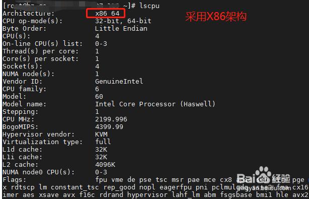 dmidecode是一个在Linux下查看硬件信息的工具，它可以显示BIOS和硬件系统部件的详细信息，要查看内存条信息，首先需要确保你的系统中安装了dmidecode，如果未安装，可以通过包管理器进行安装，例如在基于RPM的系统中（如CentOS），可以使用以下命令安装：