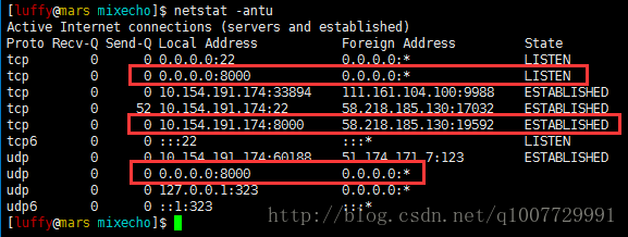 -u（UDP）：仅显示UDP连接。