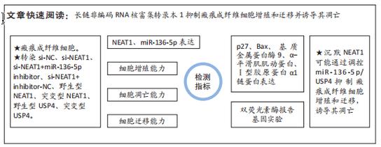 ORCID的作用与优势