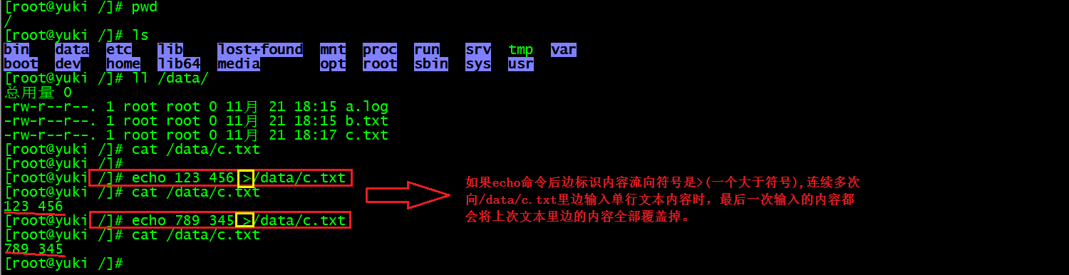 echo命令的基本用法