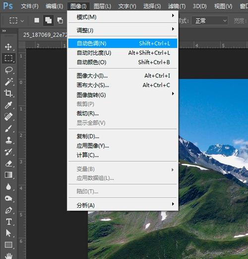 自动色调（Ctrl+Shift+L）：自动调整图像的色调，增强颜色对比度，使图像看起来更加自然。