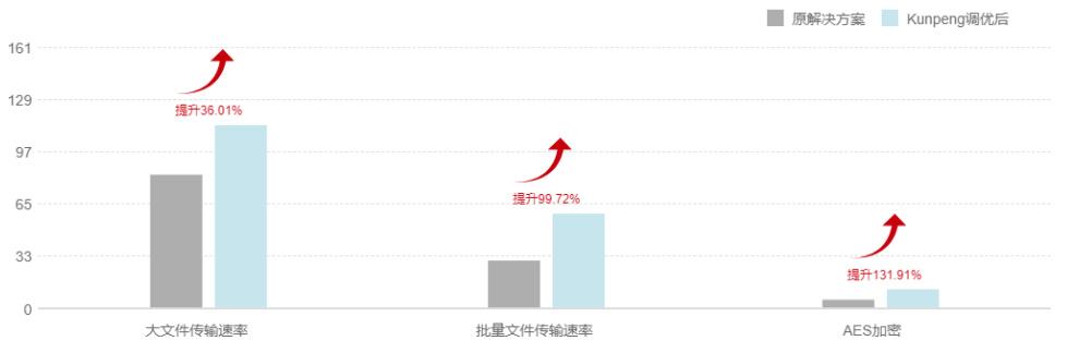 高性能：支持高并发连接和快速的文件传输。