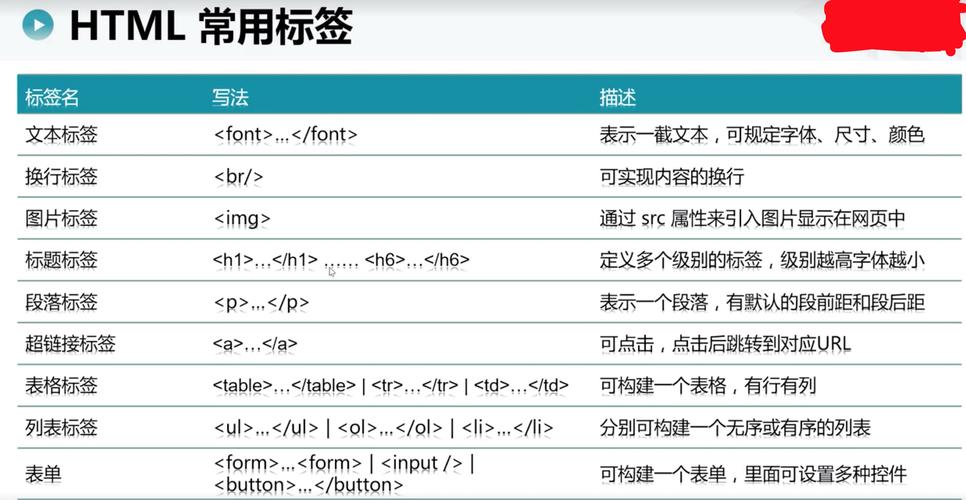 HTML编码格式的重要性