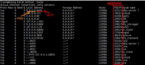 在Linux服务器管理中，了解哪些端口正在被哪些进程占用是一项非常重要的任务，这不仅有助于诊断网络问题，还能帮助管理员确保系统安全，避免端口冲突，对于使用CentOS系统的用户来说，掌握查看端口占用情况的方法尤为关键，本文将详细介绍几种在CentOS系统中查看端口占用情况的实用方法，让你轻松应对各种需求。