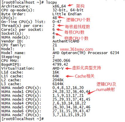 方法一：使用lscpu命令