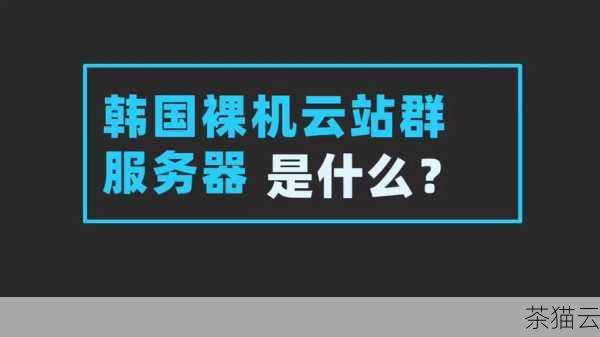 在租用韩国站群服务器时，需要综合考虑自身的需求和实际情况，如果对网络速度和亚洲市场覆盖有较高要求，且有相应的预算和技术能力来应对可能出现的问题，那么韩国站群服务器租用可能是一个不错的选择，但如果预算有限，或者对法律法规风险较为敏感，就需要谨慎考虑了。