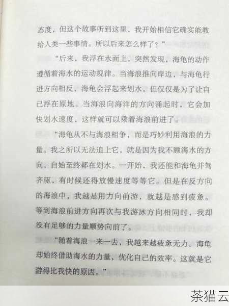 让我们通过一个简单的例子来更好地理解，假设我们想要在新创建的云实例上安装一个特定的软件包，我们可以在 cloudinit 的配置文件中添加相应的安装指令，如果我们想要安装 Nginx 服务器，我们可以在配置文件中添加类似于“apt-get install nginx”的指令。