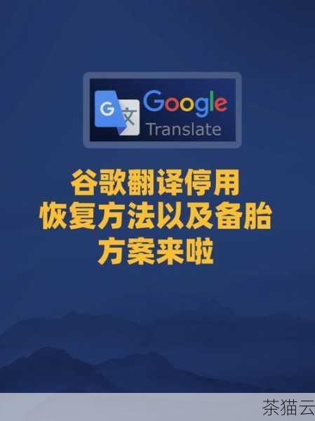 谷歌浏览器内置的翻译功能不仅可以翻译整个网页，还可以翻译选中的文本，当你在网页中看到一段你不理解的外语文本时，只需选中该文本，然后右键单击，在弹出的菜单中选择“翻译成[你的默认语言]”即可，谷歌浏览器会立即将选中的文本翻译为你所设置的默认语言，并在一个小窗口中显示翻译结果。