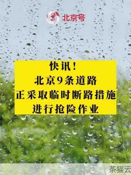 答：首先要尽快确定攻击的类型和来源，然后可以采取一些临时措施，如关闭不必要的服务、限制网络流量等，以减轻攻击的影响，要及时通知相关的安全机构和技术人员，共同制定应对方案，在攻击结束后，要对系统进行全面的检查和修复，恢复受损的数据和服务。