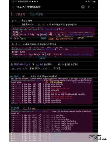 答：可以通过管道结合“less”命令，或者利用一些文本编辑器的功能。