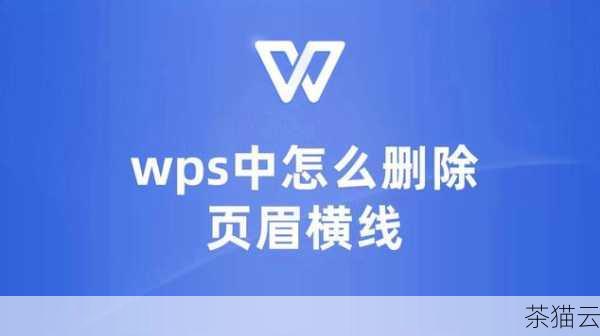 问题 3：删除页眉线后，打印出来的文档还是有页眉线，怎么回事？