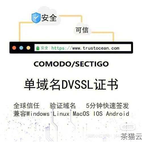 答：SSL 证书丢失，需要重新生成或从相关机构获取新的证书，并按照正确的步骤进行安装和配置。