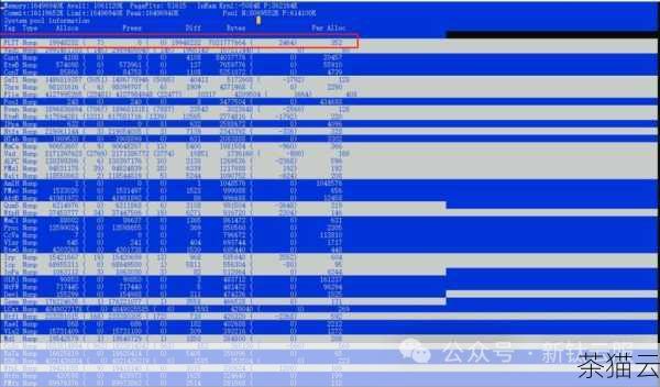 在使用 rammap 工具时，需要注意以下几点：