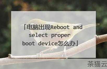 我们来了解一下这个提示的含义。“reboot and select proper boot device”的意思是“重新启动并选择正确的启动设备”，这通常意味着计算机在启动时无法找到可引导的操作系统或设备。