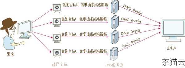 正确设置 DNS 服务器地址可以让我们的网络体验更加顺畅和稳定，希望通过以上的介绍，大家能够轻松掌握 DNS 服务器地址设置的方法和要点。