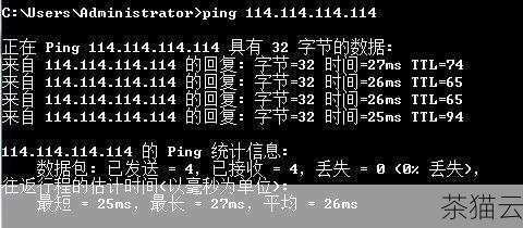 答：除了谷歌的 8.8.8.8 和 8.8.4.4 外，还有国内的 114DNS（114.114.114.114）、阿里 DNS（223.5.5.5）等公共 DNS 服务器可以选择，不同的 DNS 服务器在性能和稳定性上可能有所差异，可以根据自己的需求进行选择。