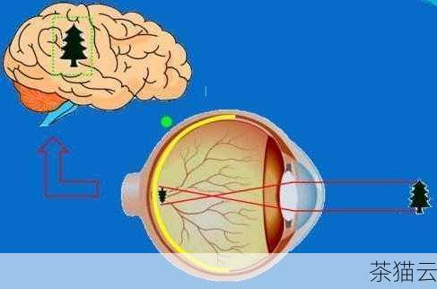 答：这可能有多种原因，检查一下周围环境的光线是否合适，过亮或过暗的环境都会影响视觉感受，考虑一下显示器的对比度设置是否合适，如果对比度设置过高或过低，也可能导致视觉不适，个人的视觉敏感度也不同，有些人可能对亮度的变化更加敏感，如果问题仍然存在，可以咨询专业的眼科医生或电脑硬件专家的建议。