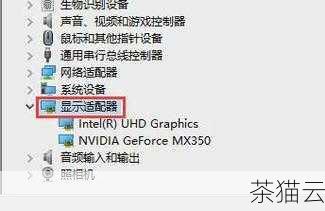 1、在设备管理器中查看显示适配器，如果有 NVIDIA 相关的选项，则表示已经安装了英伟达显卡。