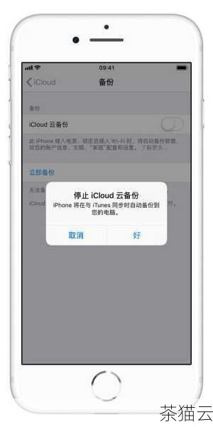 答：提供了地图、通知、推送通知、iCloud 等功能和服务。