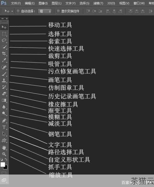 在使用导入的图片作为参考时，建议根据自己的创作需求，灵活运用各种工具和技巧，可以使用选区工具选取图片中的特定部分，或者使用画笔工具在图片上进行简单的标记和注释。