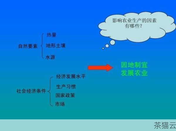 答案：这需要综合考虑多个因素，查看补丁包的说明和相关文档，了解其功能和可能产生的影响，参考其他用户的经验和反馈，如果服务器的运行环境对稳定性要求极高，建议在测试环境中先进行卸载测试，确认没有问题后再在生产环境中操作。