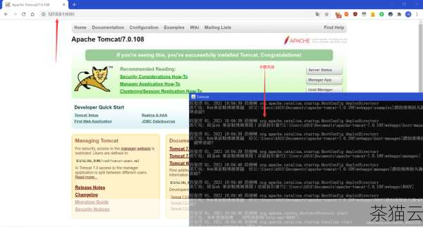 您可以在终端中输入“echo $CATALINA_HOME”命令，如果输出了您设置的 Tomcat 安装路径，说明配置成功，您也可以尝试输入“startup.sh”命令来启动 Tomcat 服务器，如果能够正常启动，也表明环境变量配置无误。