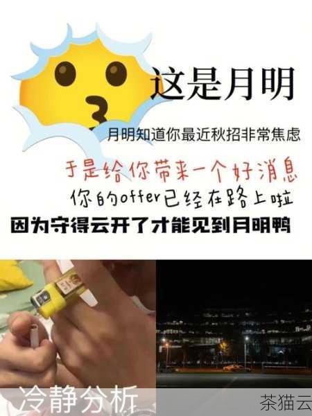 T3 报错 429 虽然让人头疼，但只要我们能够冷静分析，找出问题的根源，并采取相应的解决措施，就能够顺利地解决这个问题，让我们的工作和生活恢复正常。