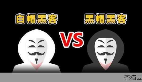 而白帽黑客之所以投身于网络安全事业，更多的是出于对正义的追求和对技术的热爱，他们希望通过自己的努力，让网络世界变得更加安全和可靠。