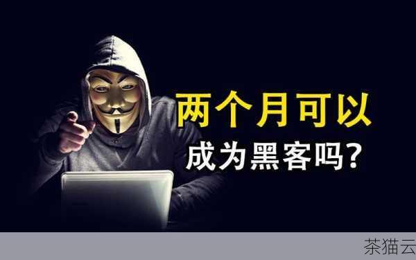 黑帽和白帽在网络安全领域中扮演着截然不同的角色，我们需要更多的白帽黑客来守护网络世界的和平与安宁，同时也需要加强法律和技术手段来打击黑帽黑客的非法活动。