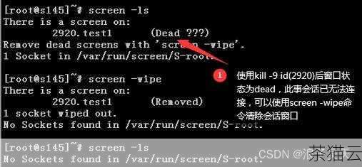 在 Linux 中，变量不仅可以在当前的命令行会话中使用，还可以在脚本中使用，以实现更复杂的自动化任务。