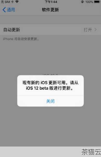 iPhone 12 的系统版本过低也可能影响软件下载，苹果会不断优化和改进其操作系统，如果您的设备没有及时更新到最新的系统版本，可能会与一些新的软件不兼容，从而导致无法下载，您可以进入“设置”-“通用”-“软件更新”检查并安装最新的系统更新。