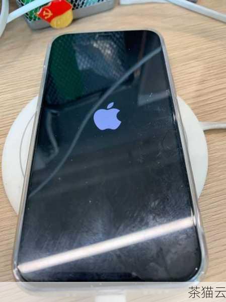 存储空间不足也是一个容易被忽视的原因，如果您的 iPhone 12 存储空间已满，就没有足够的空间来容纳新下载的软件，您可以通过删除一些不常用的应用、照片、视频等文件来释放存储空间。