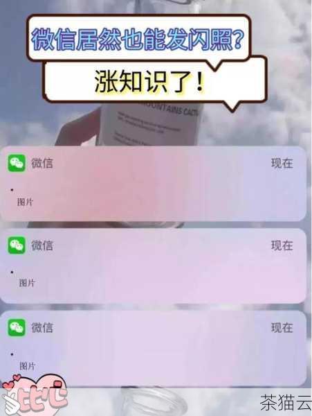 答案：不能，闪照只能查看一次，看完后就会自动销毁，无法再次查看。