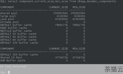 “DB_CACHE_SIZE”（Database Buffer Cache Size）参数也不容忽视，它决定了数据库用于缓存数据块的内存大小，对于经常访问的数据，将其缓存在“DB_CACHE_SIZE”中可以大大提高数据的读取速度。