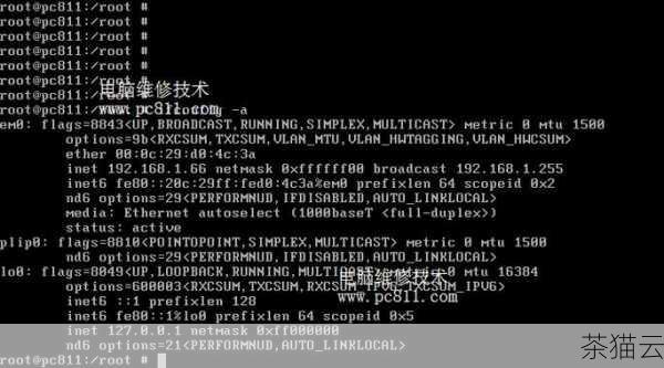 答：您可以在终端中直接输入 ifconfig 命令，如果能够正常显示网络接口的相关信息，就说明安装成功了。