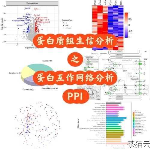 医学生物信息学数据库涵盖了广泛的内容，包括基因序列、蛋白质结构、疾病相关数据等等，这些数据库的建立和完善，使得医学研究人员能够更加高效地获取和分析相关信息，从而加速医学研究的进程。