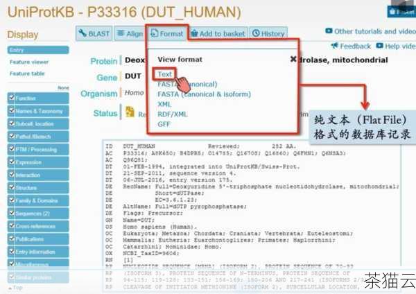 还有 UniProt ，这是一个综合性的蛋白质数据库，提供了关于蛋白质的详细信息，包括氨基酸序列、结构、功能等，对于理解蛋白质在生命活动中的作用以及与疾病的关系具有重要意义。