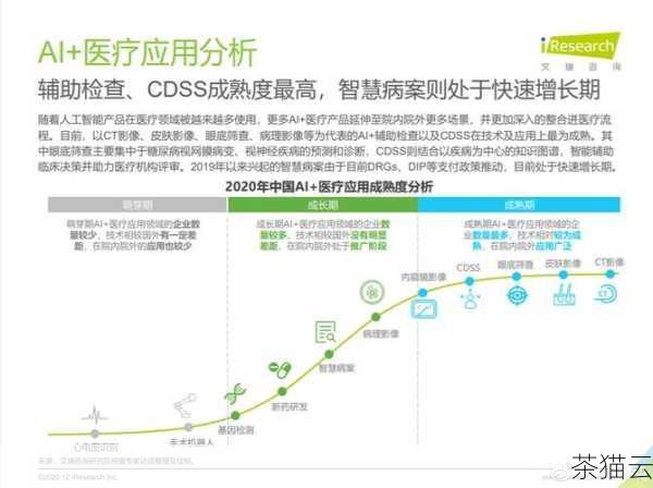 问题二：医疗智能体在医疗领域的应用存在哪些风险？