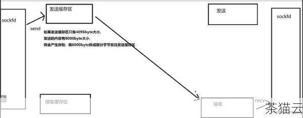 UDP 协议的应用场景非常广泛，在实时游戏中，玩家的动作和状态需要尽快传递给其他玩家，以保证游戏的流畅性和实时性，UDP 协议能够满足这种需求，即使偶尔丢失一些数据包，也不会对游戏体验造成严重影响，在视频直播和语音通话中，UDP 协议能够快速传输数据，确保画面和声音的实时播放，虽然可能会出现短暂的卡顿或模糊，但整体的连续性得以保证。