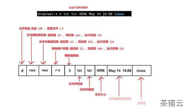 我们要明白 Linux 中的文件权限是通过一组字符来表示的，我们看到的权限表示形式是类似于“rwxr-xr-x”这样的。“r”代表读权限（read），“w”代表写权限（write），“x”代表执行权限（execute）。