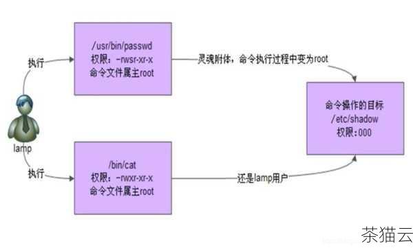 “rws”在 Linux 中是一种特殊的权限设置，用于在特定情况下赋予执行文件特殊的权限，以实现特定的系统功能，但在使用时，必须要充分考虑其安全性和合理性。