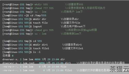 问题三：除了“rws”，还有其他类似的特殊权限位吗？