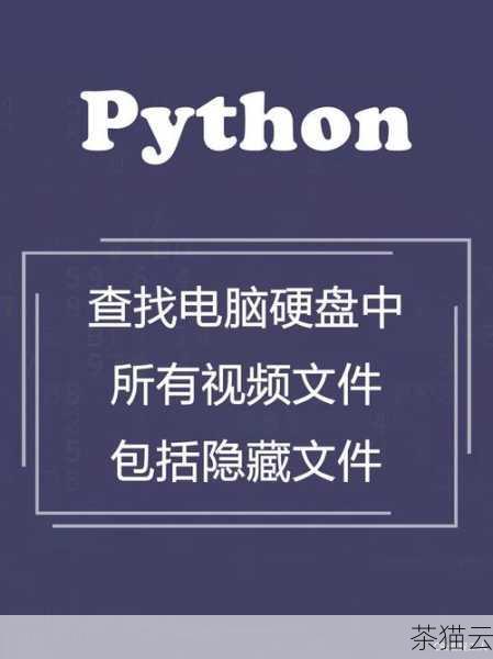 除了通过终端命令行的方式，您还可以使用一些集成开发环境（IDE）来启动 Python 脚本，PyCharm、VS Code 等，这些 IDE 提供了更友好的界面和丰富的功能，方便您编写、调试和运行代码。