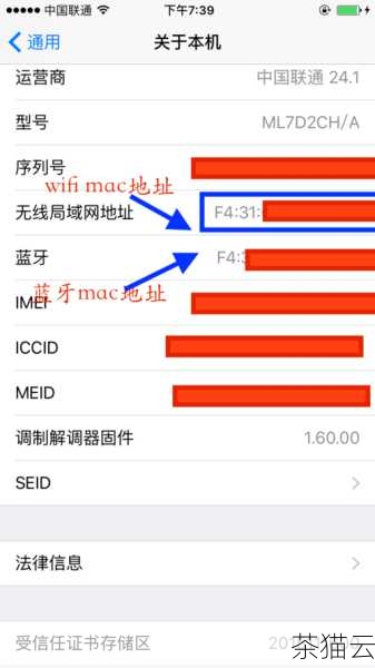 打开终端，输入以下命令来查看 MAC 地址表：