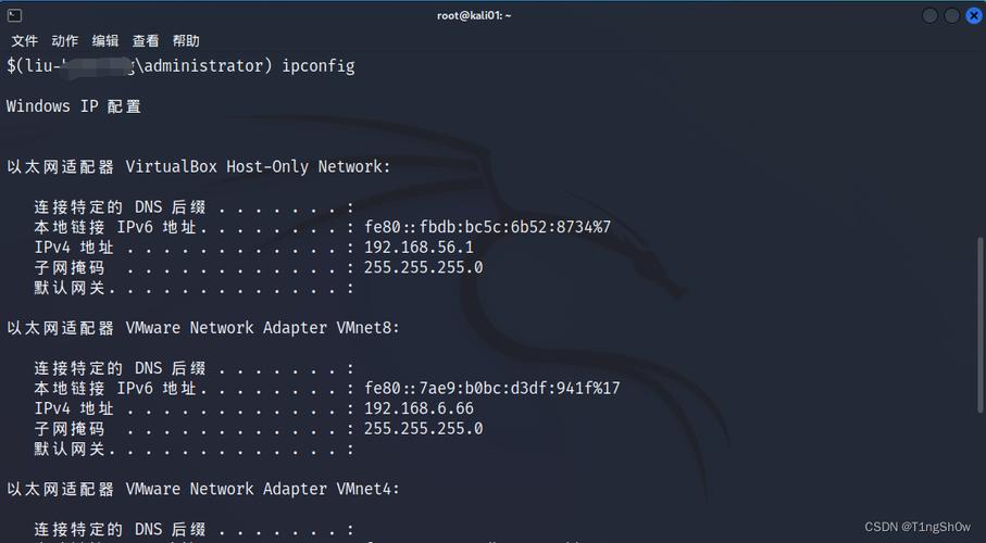 还可以结合其他命令行工具来增强 Python 在终端中的使用体验，比如使用管道“|”将一个命令的输出作为另一个命令的输入，或者使用重定向“>”和“<”来处理输入和输出的文件。